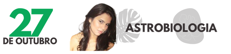 banner 2 (2).png