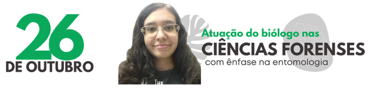 banner 2.png