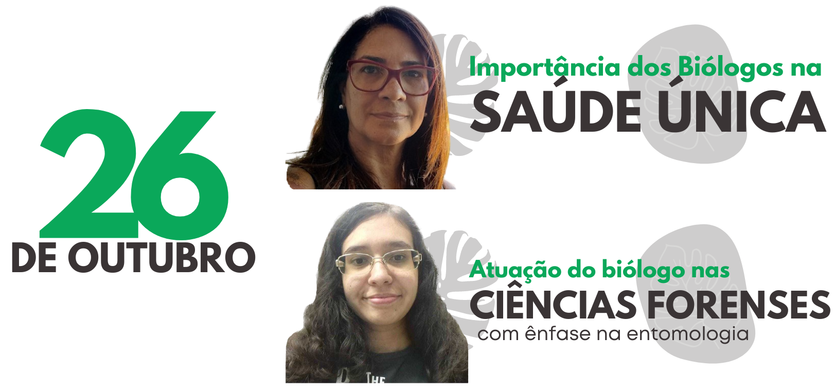 dia 26.png